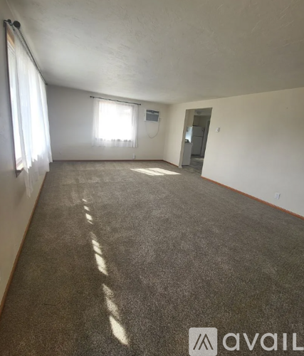 A room with carpeted floor and a window letting in sunlight.