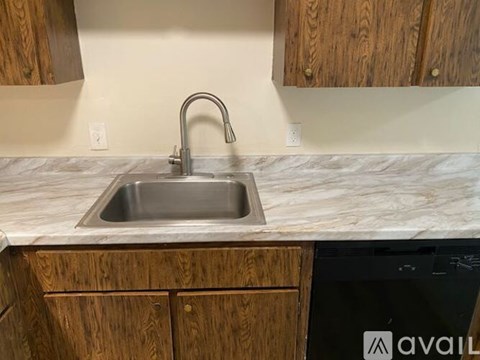 A kitchen sink with a faucet and wooden cabinets.