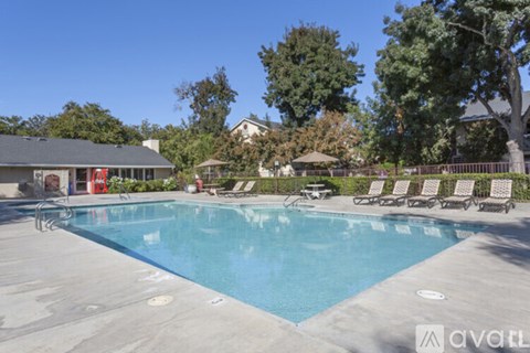 A large swimming pool surrounded by lounge chairs and trees.