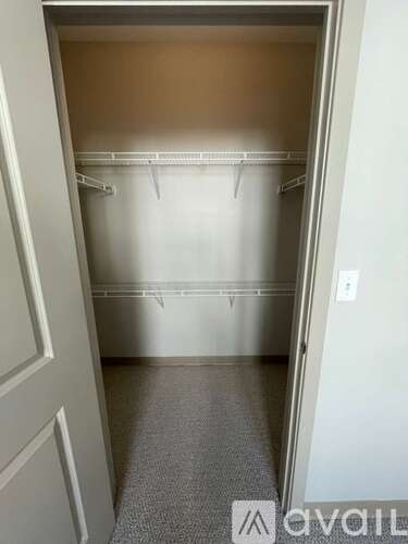 A white closet with a carpeted floor and a white door.