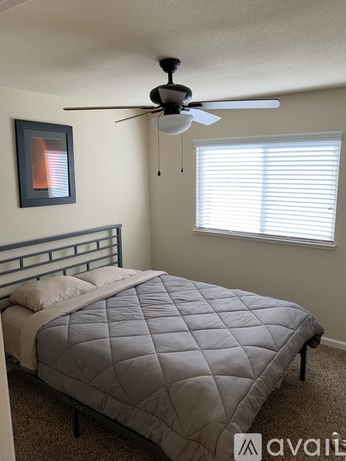 A bedroom with a bed, ceiling fan, and window.