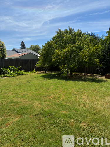 A backyard with a fence and trees.