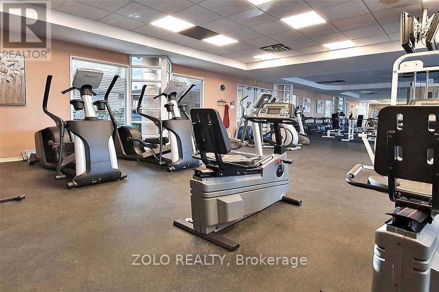 A gym with treadmills and elliptical machines.