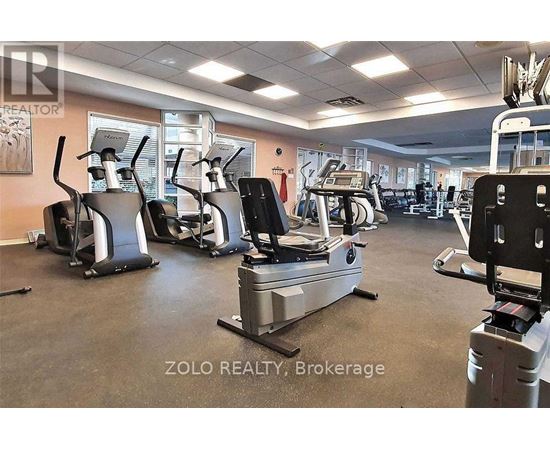 A gym with treadmills and elliptical machines.