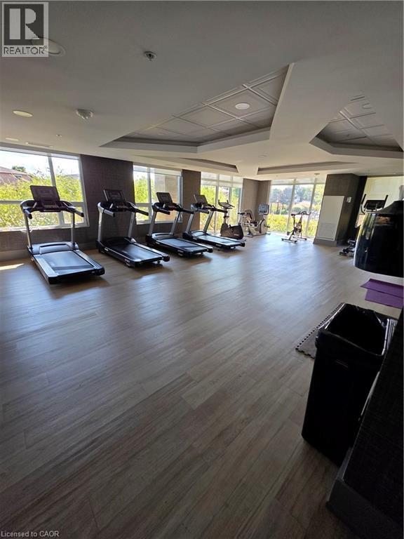 A gym with treadmills and exercise equipment.