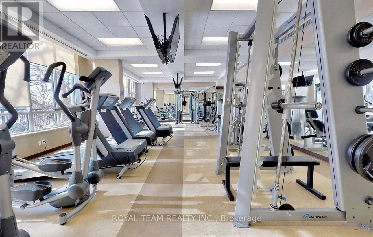 A gym with treadmills, elliptical machines, and weight machines.