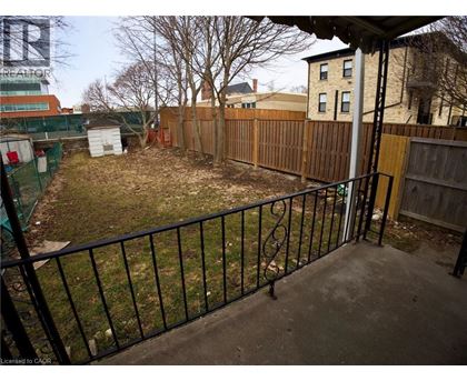A backyard with a black fence and a green tree.