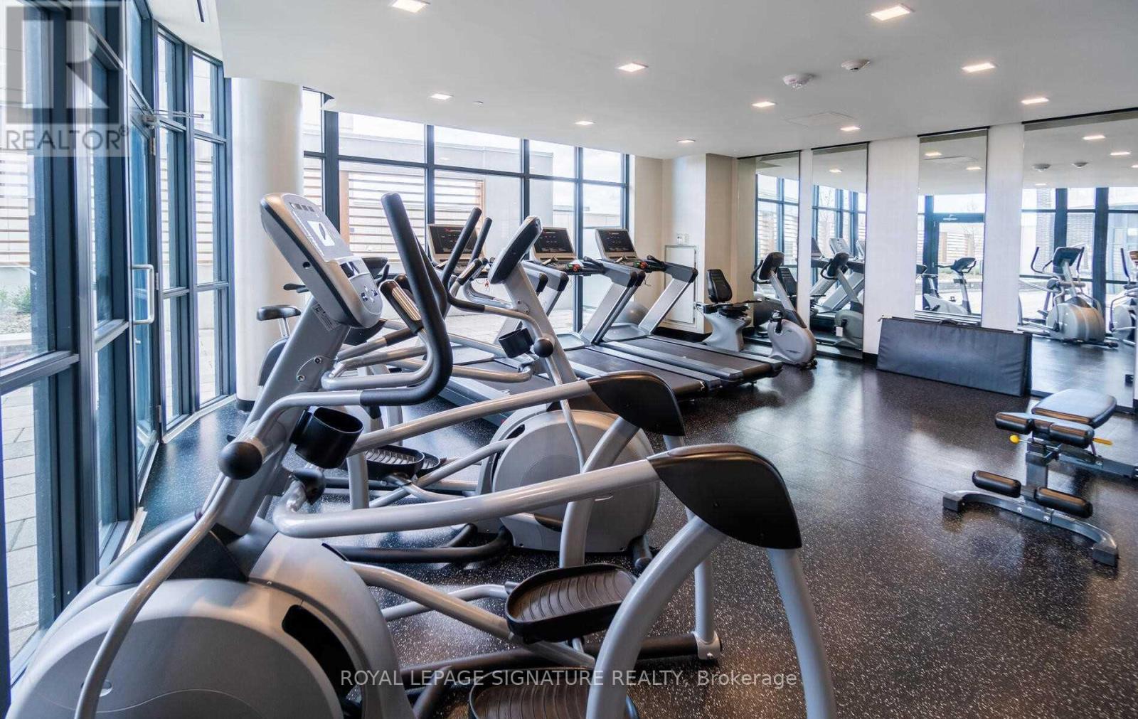 A gym with treadmills and exercise equipment.