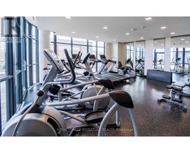 A gym with treadmills and exercise equipment.