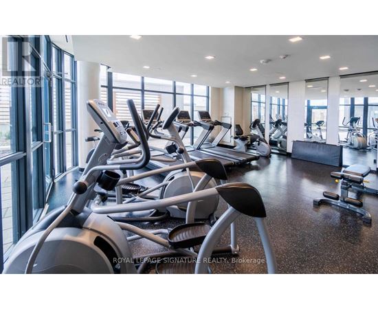 A gym with treadmills and exercise equipment.