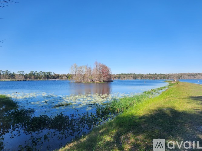 A lake with a tree in the middle and a grassy shore.