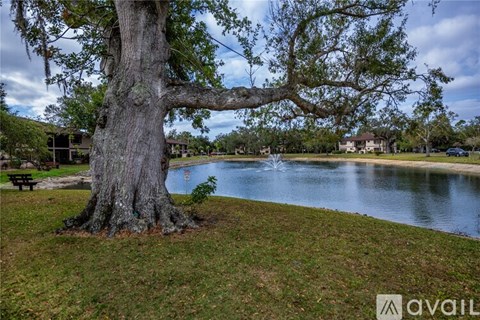 A large tree stands in a grassy area next to a lake.