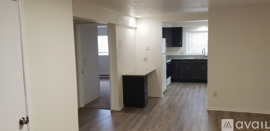 A kitchen area with a black countertop and cabinets.