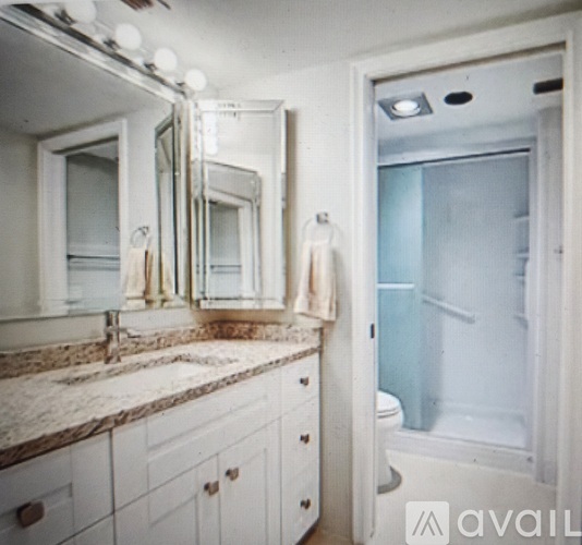 A bathroom with a marble countertop and a walk-in shower.