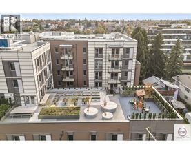 A rooftop garden is surrounded by apartment buildings.