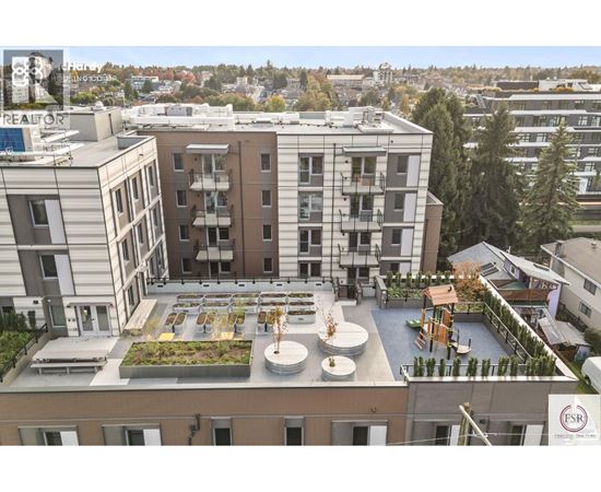 A rooftop garden is surrounded by apartment buildings.