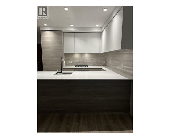 A modern kitchen with a sink and a counter.