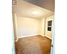 A room with white walls and a brown carpet.