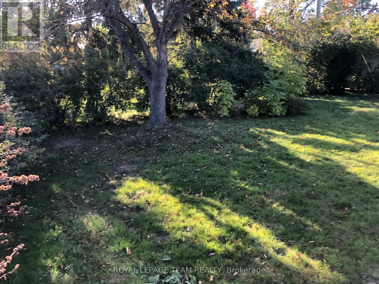 A tree in a grassy area with a sign in the background.