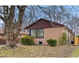 A house with a brown roof and a tree in front.
