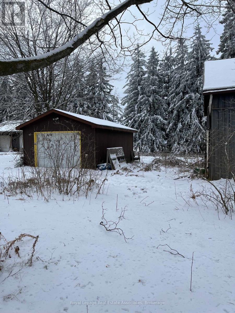 A snow-covered landscape with a shed and trees.