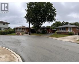 A street view of a residential area with houses on both sides and a tree in the middle.