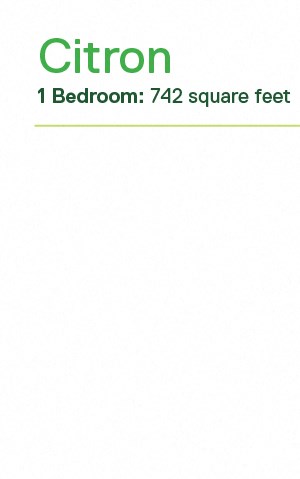 Citron Floorplan Citron Floorplan at Verde Pointe