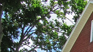 Housing Near PSU at Fischer - Large House Housing Near PSU in State College, Pa | Fischer | Property Management, Inc.