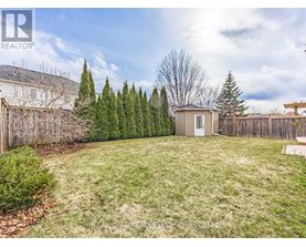 A backyard with a fence, a shed, and a row of trees.