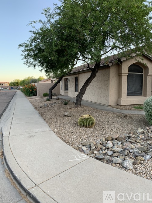 A cactus is in the front yard of a house.