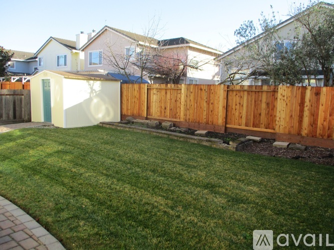 A backyard with a wooden fence and a green lawn.