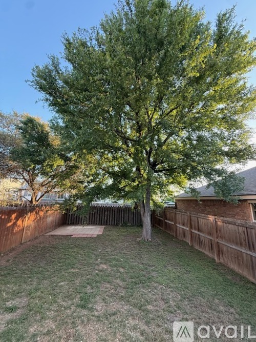 A tree in a backyard with a wooden fence.