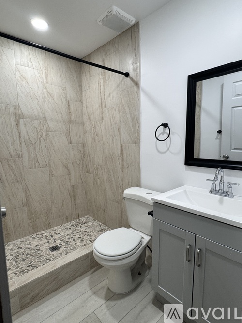 A bathroom with a toilet, sink, and a walk-in shower.