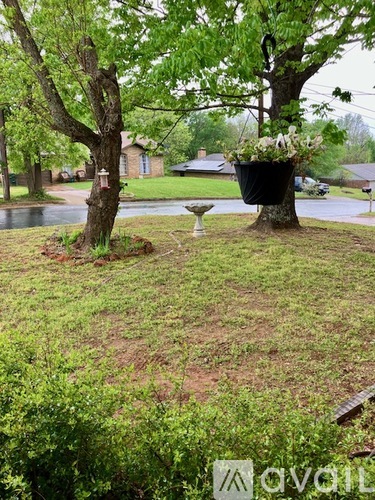 A tree with a hanging flower pot in the middle of a grassy area.