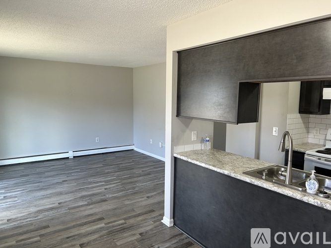 A kitchen area with a sink and a countertop.