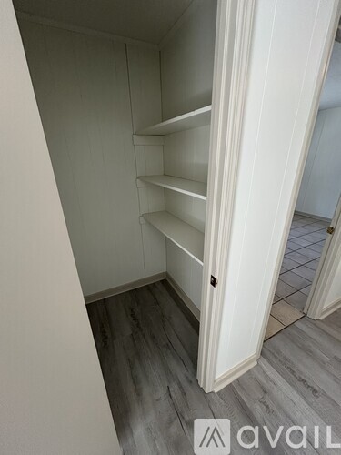 A white closet with shelves and a door.