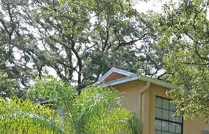 Apartments On East Hillsborough Ave Tampa Fl Apartments On East Hillsborough Ave Tampa Fl