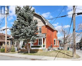 A red brick house with a tree in front.