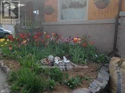 A flower bed in front of a building with a Walmart bag on the ground.