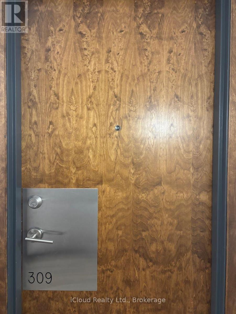 A wooden door with a metal plate on it that says 309.