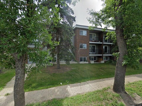 A tree is in front of a building.
