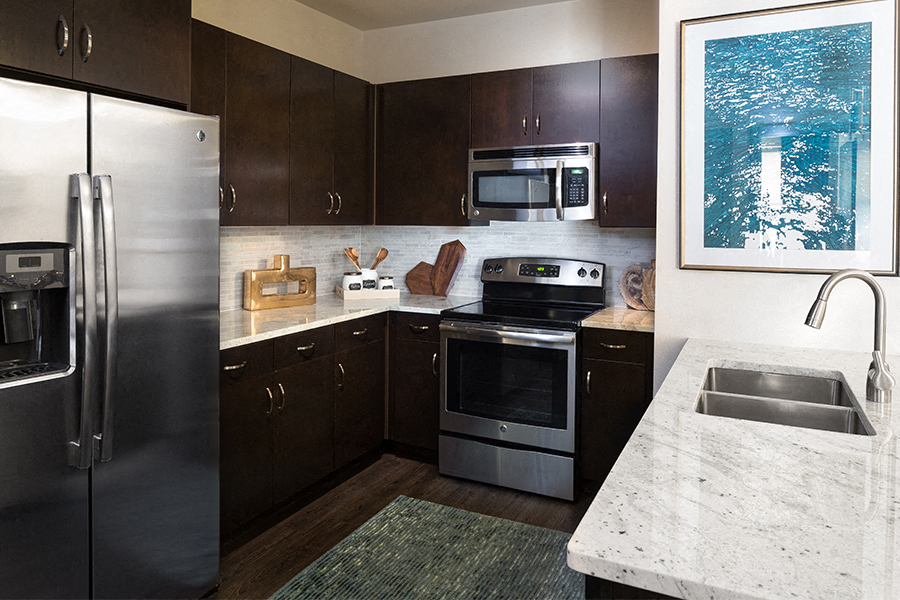 The Addison Apartments in Austin, TX - Stainless steel Energy Star GE appliances