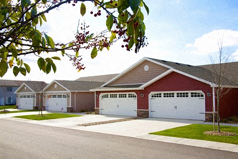 A row of houses with garages and a tree branch with berries in the foreground.