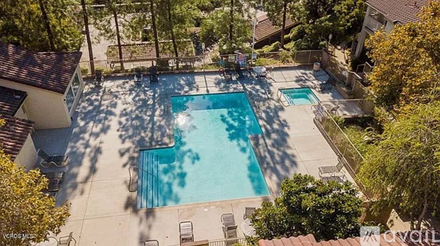 A swimming pool surrounded by trees and a house.