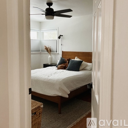 A bedroom with a bed, a ceiling fan, and a window with blinds.