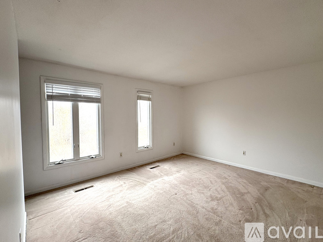 A spacious room with two windows and carpeted floor.