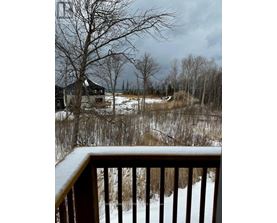 A snowy landscape with a house and bare trees.