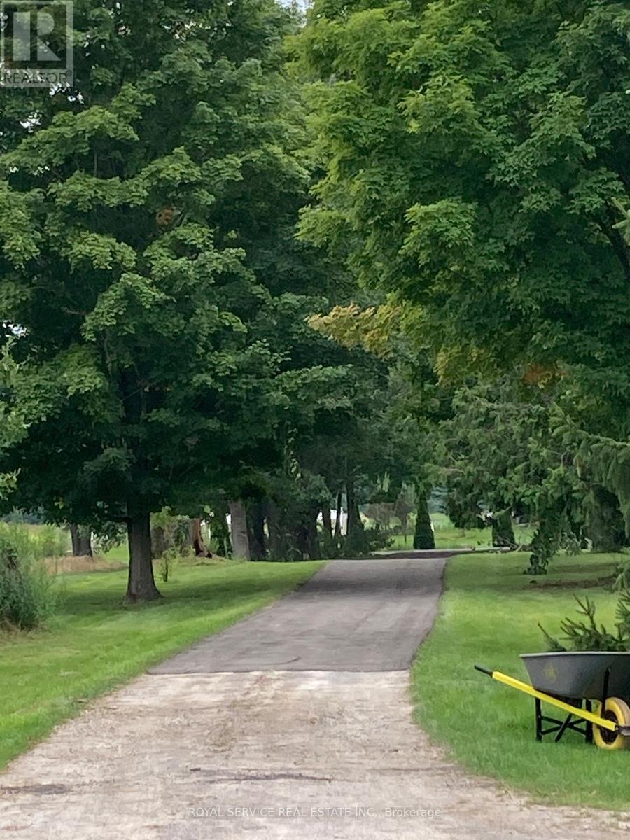 A tree-lined path with a wheelbarrow on the grass.