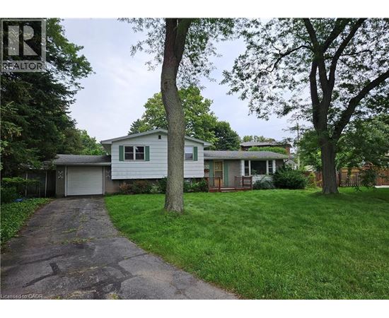 A house with a driveway and a tree in front of it.