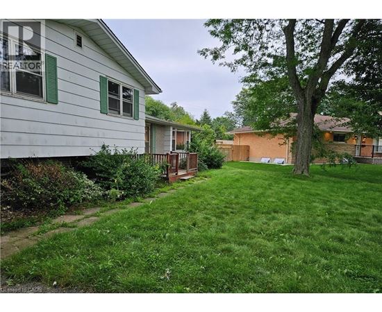 A white house with green shutters and a tree in the yard.